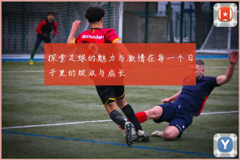 探索足球的魅力与激情在每一个日子里的绽放与成长
