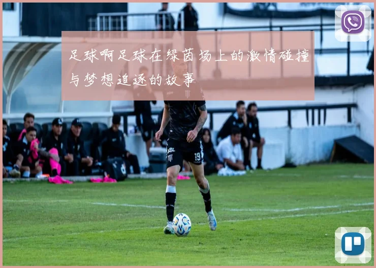足球啊足球在绿茵场上的激情碰撞与梦想追逐的故事