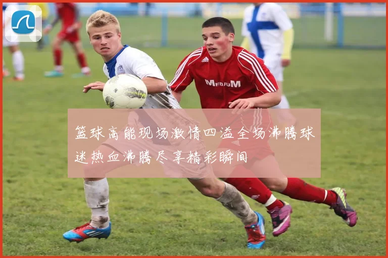 篮球高能现场激情四溢全场沸腾球迷热血沸腾尽享精彩瞬间