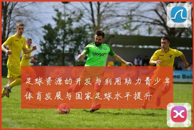 足球资源的开发与利用助力青少年体育发展与国家足球水平提升
