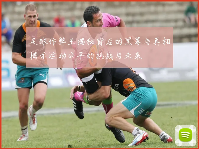 足球作弊王揭秘背后的黑幕与真相揭示运动公平的挑战与未来