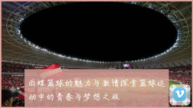 雨蝶篮球的魅力与激情探索篮球运动中的青春与梦想之旅